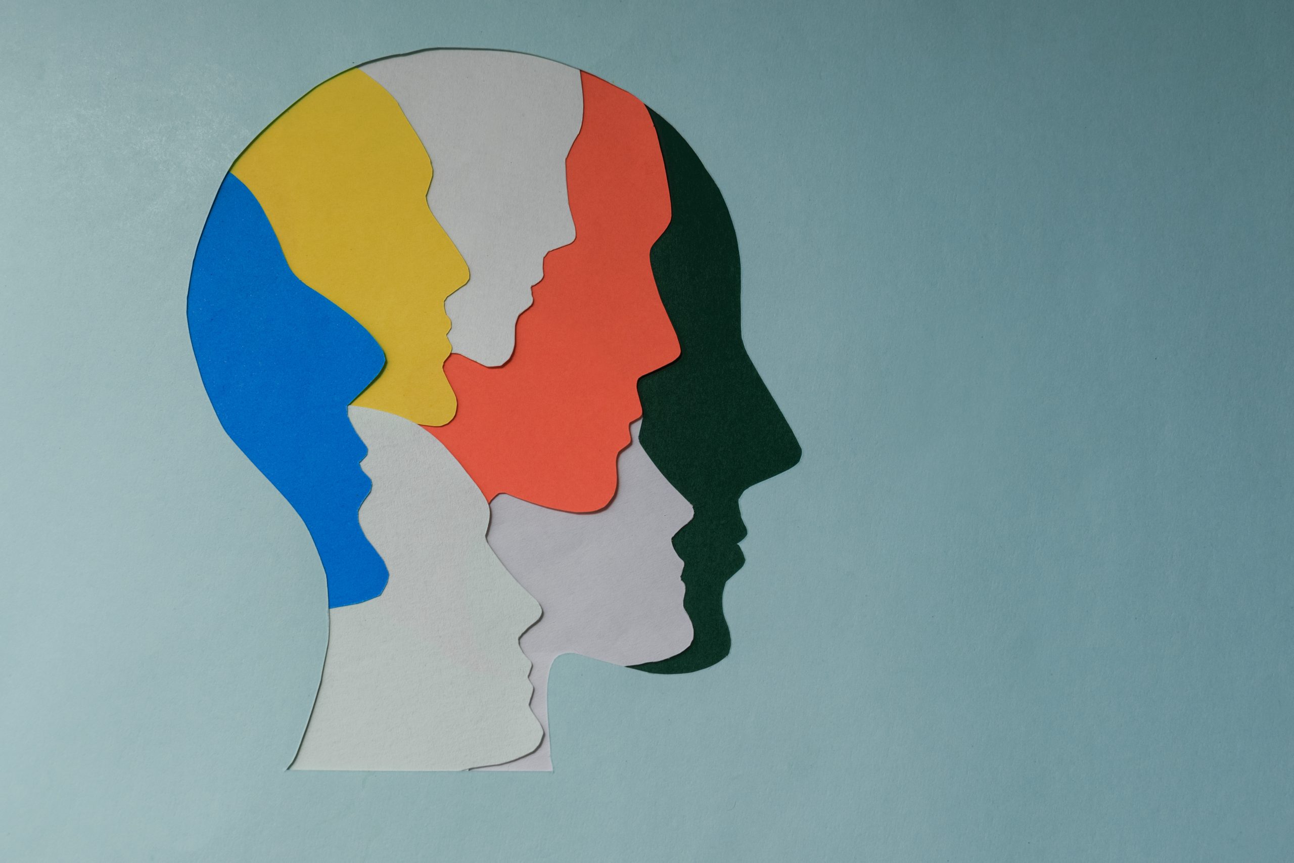 paper cut style Colored silhouette faces in head. Metaphor bipol